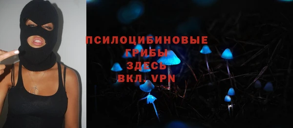 спайс Алексеевка