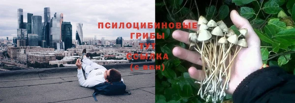 трава Краснослободск