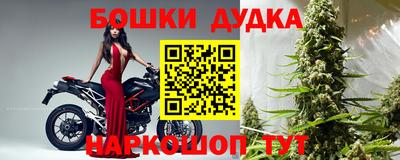 шишки Апшеронск