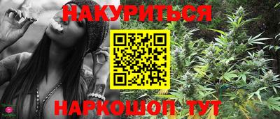 шишки Апшеронск