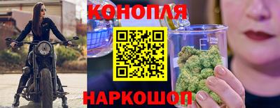 шишки Апшеронск