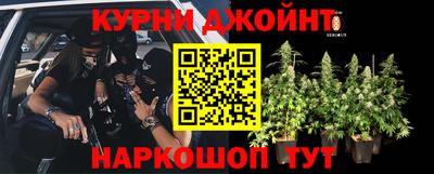 гидра Аргун
