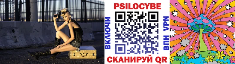 Псилоцибиновые грибы Psilocybine cubensis  Всеволожск 