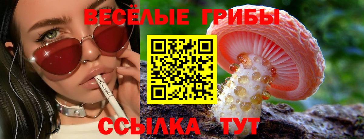 Псилоцибиновые грибы мухоморы Всеволожск
